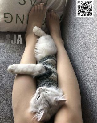 宇宙英雄之超银河传说