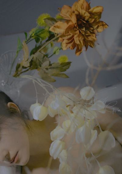 蜜桔影视