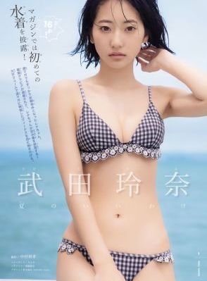 免费追剧在线观看电视剧